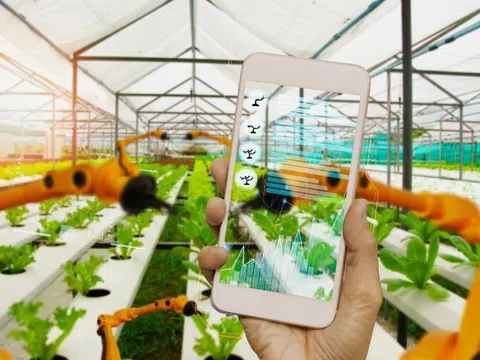 Hệ thống truy xuất nguồn gốc đi vào vận hành: Minh bạch hàng hóa, nâng chuẩn quản lý thị trường