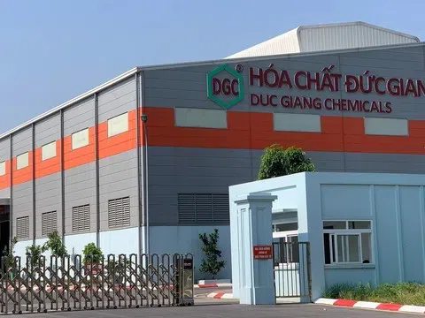 Cổ phiếu DGC giảm sàn 3 phiên, tài sản Chủ tịch Hóa chất Đức Giang “bốc hơi” hơn 1.200 tỷ đồng