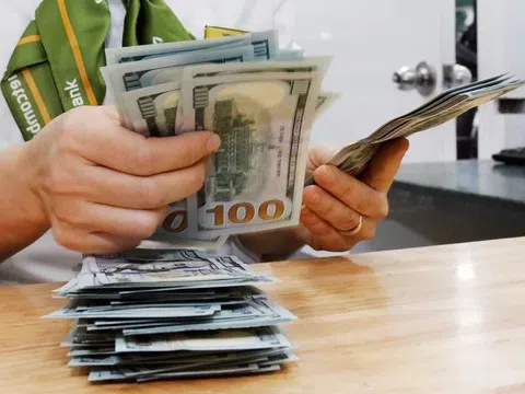 Tỷ giá USD hôm nay 25/12/2025: Thị trường quốc tế ổn định, trong nước biến động mạnh