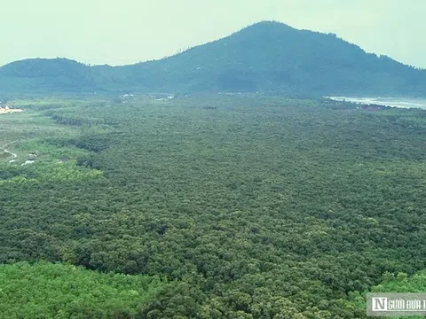 VIDEO: Ngắm "pháo đài xanh" trăm tuổi hiếm có giữa cồn cát ven biển Huế