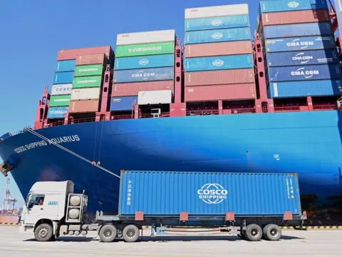 Bộ Công Thương vào cuộc "giải cứu" gần 500 container chè mắc kẹt tại Pakistan