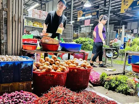 Ớt Việt tăng tốc xuất khẩu, trở thành trụ cột mới của ngành rau củ