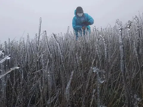Miền Bắc không khí lạnh liên tiếp, dự báo nơi rét đậm nhất