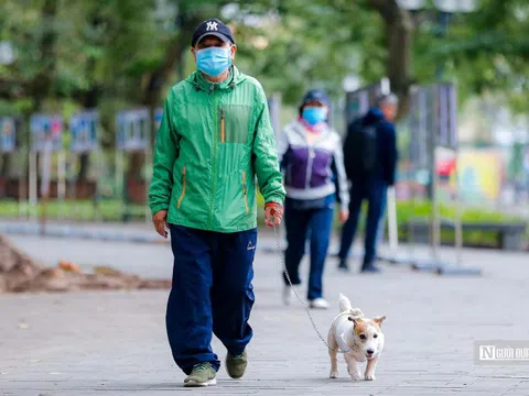 Chủ động ứng phó rét đậm, rét hại tại các tỉnh Bắc Bộ