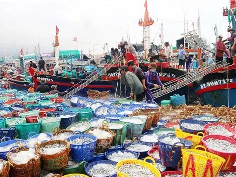 Thủy sản Việt Nam 2025: Vượt sóng thách thức, lần đầu chinh phục mốc hơn 11 tỷ USD