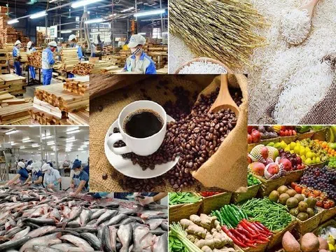 Kỷ lục 70 Tỷ USD Xuất khẩu nông sản 2025 và khát vọng "Căn bếp toàn cầu"