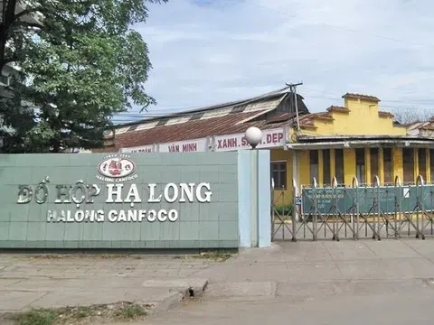 Đồ hộp Hạ Long đang kinh doanh ra sao?