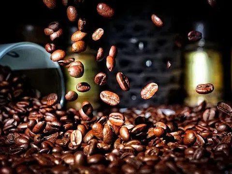 Giá cà phê hôm nay 14/1/2026: Robusta tiếp tục đi lên, arabica đảo chiều tăng trở lại