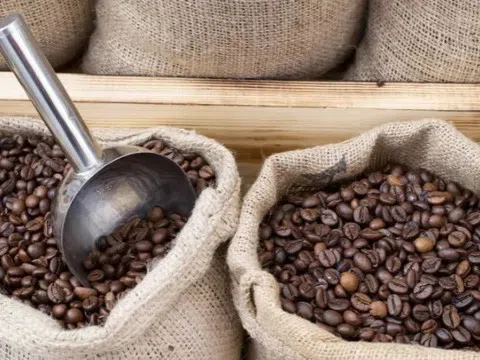 Giá cà phê hôm nay 21/1/2026: Tiến sát mốc 100.000 đồng/kg