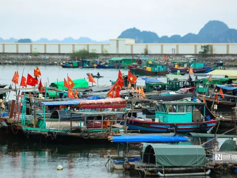 Thủ tướng phát lệnh “tuyên chiến” với khai thác IUU, không để lọt vi phạm