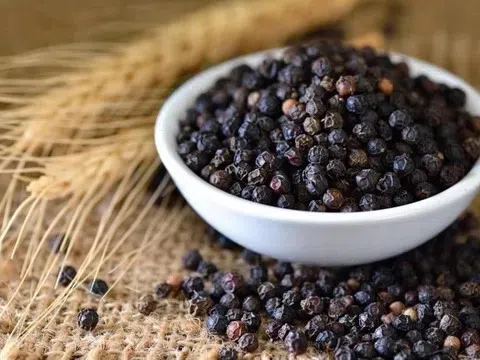 Giá tiêu hôm nay 13/2/2026: Cập nhật giá tiêu mới nhất trong nước, quốc tế