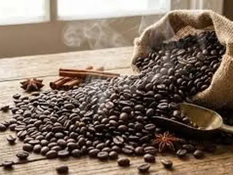 Giá cà phê hôm nay 27/2/2026: Thị trường quay đầu giảm, nông dân Việt Nam vẫn “găm hàng” chờ giá lên