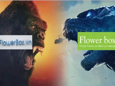 Chỉ đăng ký bảo hộ nhãn hiệu mà bỏ qua tên miền, tranh chấp phát sinh giải quyết như thế nào?