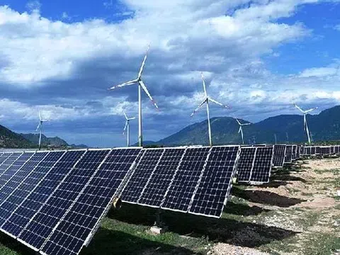 Trung Nam Group đề xuất khảo sát 18.600ha biển La Gi, mở rộng danh mục đầu tư điện gió ngoài khơi