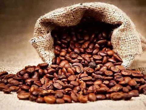 Giá cà phê hôm nay 10/3/2026: Arabica tăng mạnh, trong khi robusta có dấu hiệu chững lại