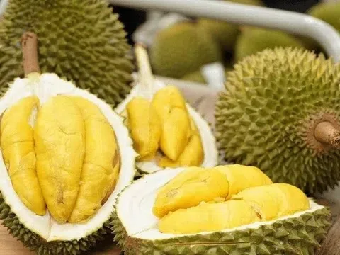 Giá sầu riêng hôm nay 10/3/2026: Neo cao