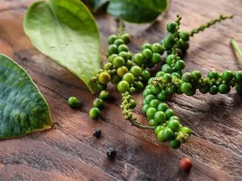 Giá tiêu hôm nay 12/3/2026: Thị trường trong nước và xuất khẩu giảm nhẹ