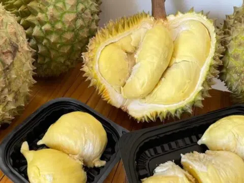 Giá sầu riêng hôm nay 23/3: Tăng mạnh cuối vụ do nguồn cung suy giảm