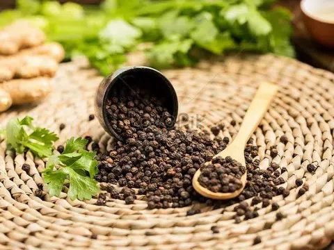 Giá tiêu hôm nay 30/3/2026: Diễn biến trái chiều, thị trường tích lũy