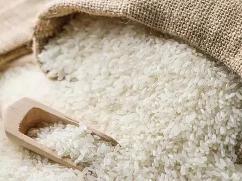 Giá lúa gạo hôm nay 3/4: Giá lúa tươi có xu hướng tăng