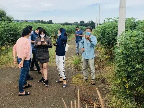 “Túi tiền” của nhà đầu tư bất động sản bị ảnh hưởng thế nào trước các biến động?