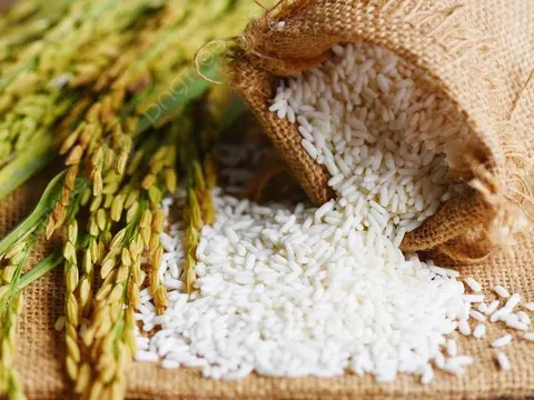 Giá lúa gạo hôm nay 5/4: Giao dịch trầm lắng