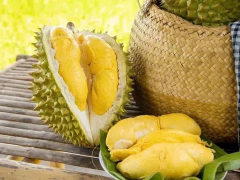 Giá sầu riêng hôm nay 6/4: Ri6 tăng mạnh tại miền Tây