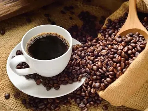 Giá cà phê hôm nay 10/4/2026: Phục hồi trở lại
