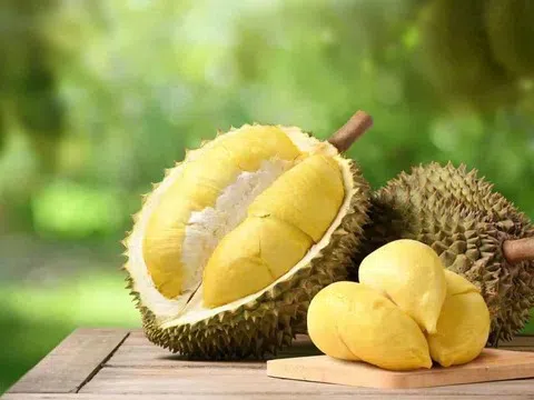 Giá sầu riêng hôm nay 9/4: Sầu riêng Thái tăng nhẹ