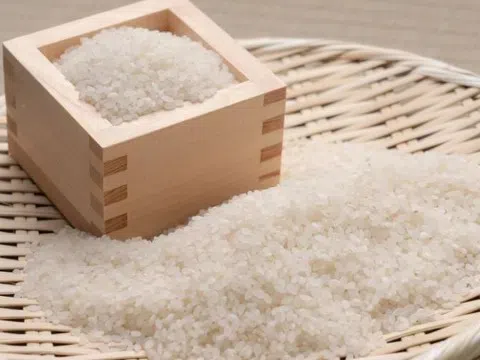 Giá lúa gạo hôm nay 11/4: Giá gạo xuất khẩu tăng mạnh