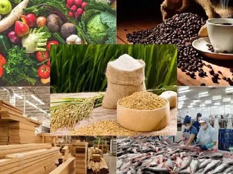 Ngành nông nghiệp Việt Nam tiếp tục giữ vững đà tăng trưởng