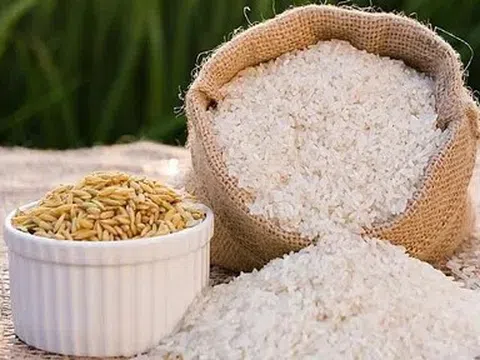 Giá lúa gạo hôm nay 12/4/2026: Không có nhiều biến động