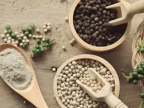 Giá tiêu hôm nay 13/4: Dao động khoảng 138.500 – 139.500 đồng/kg