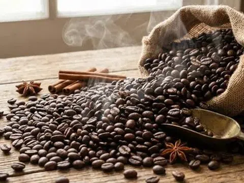 Giá cà phê hôm nay 14/4/2026: Tăng nhẹ, thị trường phục hồi