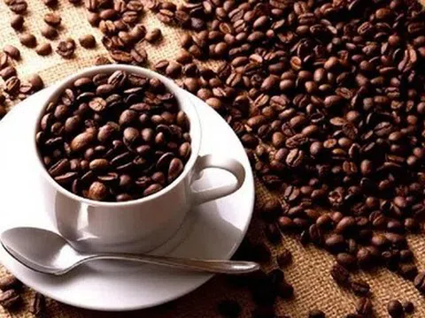 Giá cà phê hôm nay 15/4/2026: Bật tăng mạnh, robusta lập đỉnh tuần