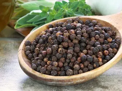 Giá tiêu hôm nay 15/4/2026: Tăng 500 – 1.000 đồng/kg ở một số nơi