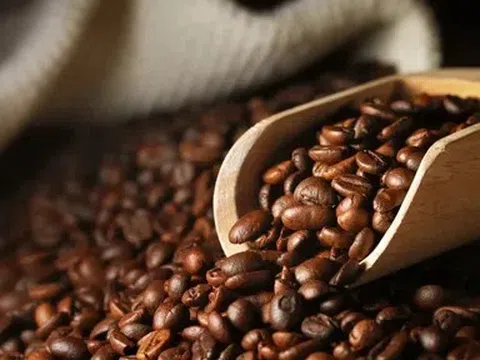 Giá cà phê hôm nay 17/4/2026: Tăng mạnh trong nước, thế giới đảo chiều giảm