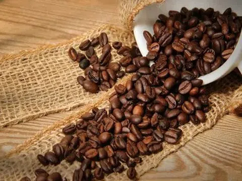 Giá cà phê hôm nay 18/4/2026: Quay đầu giảm, thị trường điều chỉnh sau chuỗi tăng