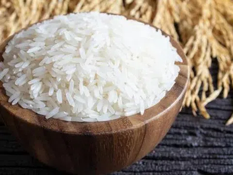 Giá lúa gạo hôm nay 18/4/2026: Giá gạo xuất khẩu tăng