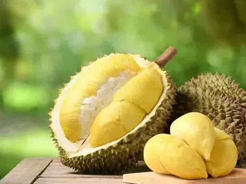 Giá sầu riêng hôm nay 17/4/2026: Duy trì ổn định