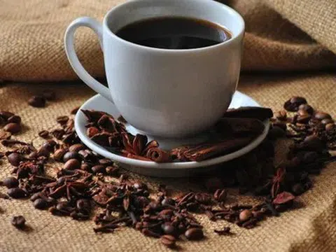 Giá cà phê hôm nay 19/4/2026: Giảm sâu diện rộng, thị trường điều chỉnh mạnh