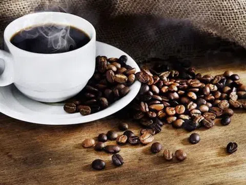 Giá cà phê hôm nay 20/4/2026: Chuỗi giảm kéo dài tuần thứ tư
