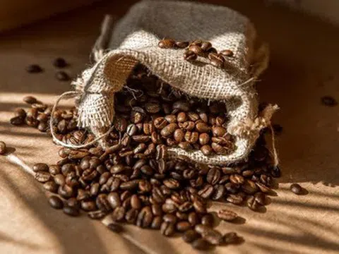 Giá cà phê hôm nay 21/4/2026: Thế giới phục hồi, trong nước tăng nhẹ