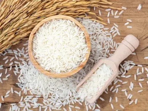 Giá lúa gạo hôm nay 21/4/2026: Ổn định, giá gạo xuất khẩu ở mức cao