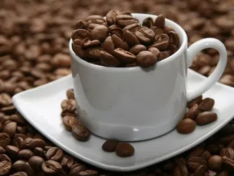 Giá cà phê hôm nay 22/4/2026: Tăng mạnh tại Tây Nguyên