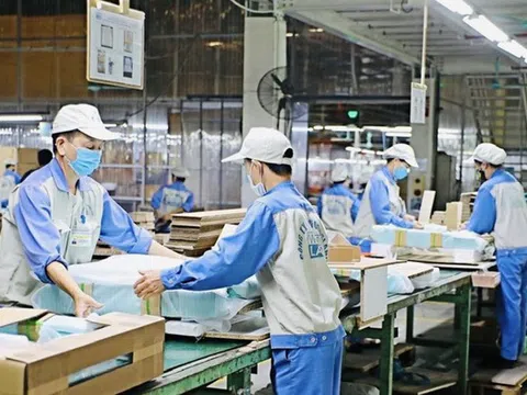 Đến 2030, Tuyên Quang phấn đấu có 12 khu công nghiệp và 48 cụm công nghiệp