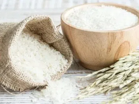 Giá lúa gạo hôm nay 22/4/2026: Tiếp tục duy trì ổn định