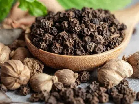 Giá tiêu hôm nay 28/4/2026: Toàn cảnh thị trường, xu hướng và dự báo