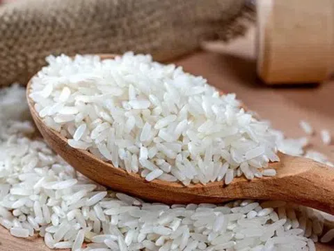 Giá lúa gạo hôm nay 4/5/2026: Tiếp tục đi ngang
