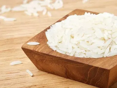 Giá lúa gạo hôm nay 6/5/2026: Toàn cảnh thị trường, xuất khẩu và dự báo